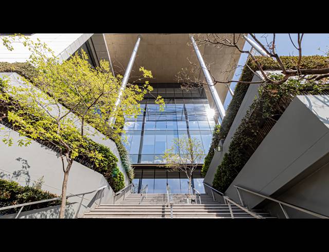 1,638M² OFFICE TO LET IN ROSEBANK
